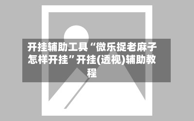 开挂辅助工具“微乐捉老麻子怎样开挂”开挂(透视)辅助教程-第2张图片