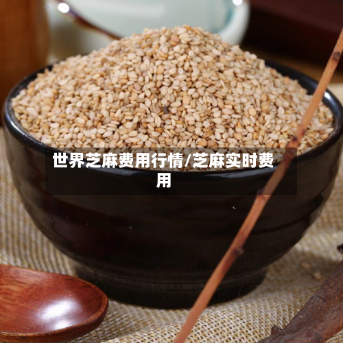 世界芝麻费用行情/芝麻实时费用