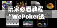 玩家必看教程“WePoker透视作弊怎么发现”(作弊)辅助透视教程