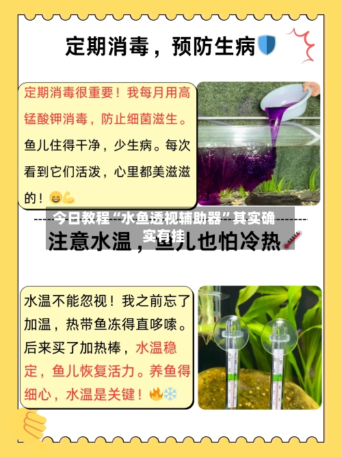 今日教程“水鱼透视辅助器”其实确实有挂-第2张图片