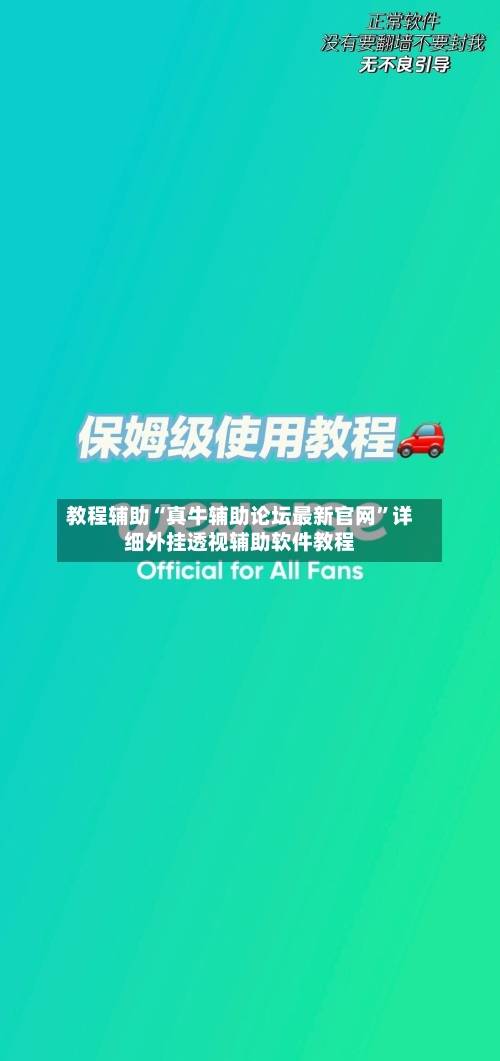 教程辅助“真牛辅助论坛最新官网”详细外挂透视辅助软件教程-第3张图片