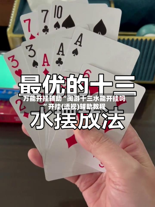 万能开挂辅助“闽游十三水能开挂吗”开挂(透视)辅助教程-第3张图片