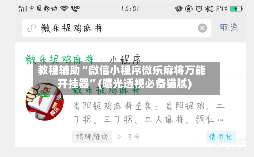 教程辅助“微信小程序微乐麻将万能开挂器”(曝光透视必备猫腻)