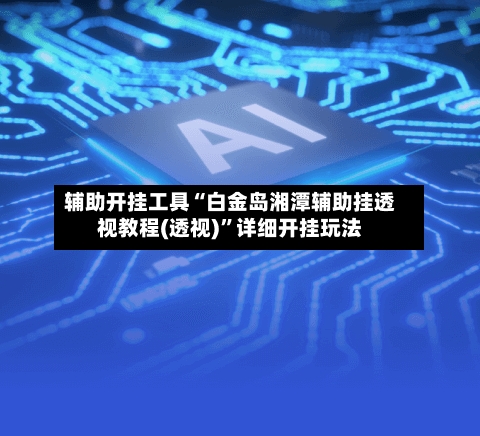 辅助开挂工具“白金岛湘潭辅助挂透视教程(透视)”详细开挂玩法-第2张图片