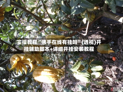 实操教程“佛手在线有挂吗	”(透视)开挂辅助脚本+详细开挂安装教程-第2张图片