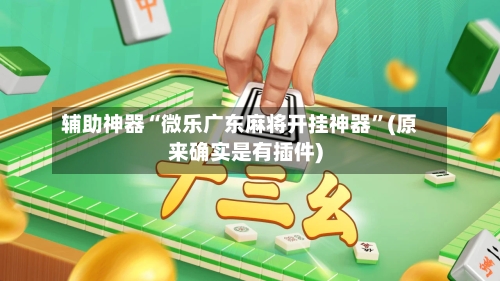 辅助神器“微乐广东麻将开挂神器”(原来确实是有插件)-第2张图片