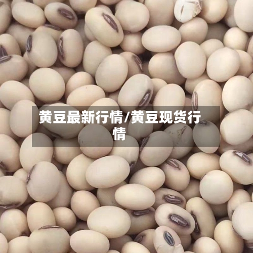 黄豆最新行情/黄豆现货行情