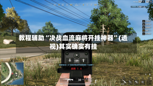 教程辅助“决战血流麻将开挂神器”(透视)其实确实有挂-第3张图片