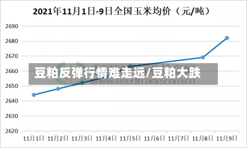 豆粕反弹行情难走远/豆粕大跌