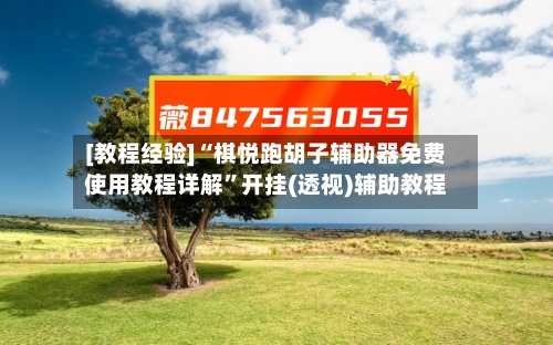 [教程经验]“棋悦跑胡子辅助器免费使用教程详解”开挂(透视)辅助教程