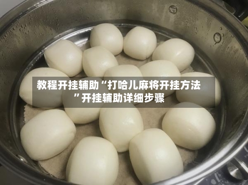 教程开挂辅助“打哈儿麻将开挂方法”开挂辅助详细步骤-第2张图片
