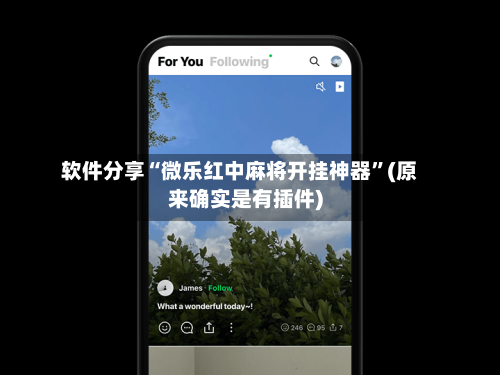 软件分享“微乐红中麻将开挂神器”(原来确实是有插件)