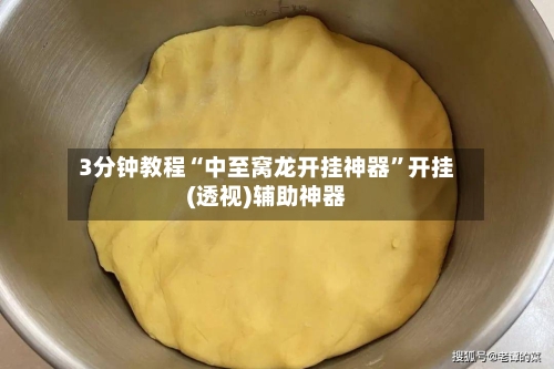 3分钟教程“中至窝龙开挂神器”开挂(透视)辅助神器-第3张图片