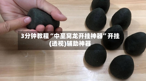 3分钟教程“中至窝龙开挂神器	”开挂(透视)辅助神器-第2张图片