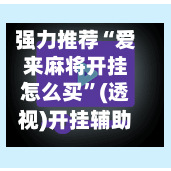 强力推荐“爱来麻将开挂怎么买”(透视)开挂辅助脚本+详细开挂安装教程-第3张图片