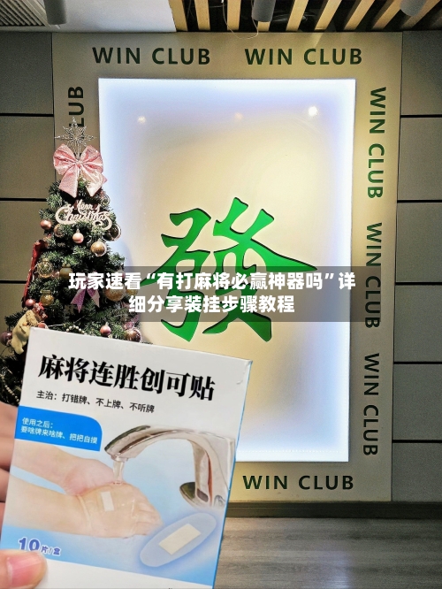 玩家速看“有打麻将必赢神器吗”详细分享装挂步骤教程-第3张图片