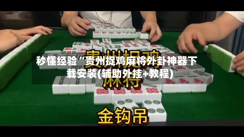 秒懂经验“贵州捉鸡麻将外卦神器下载安装(辅助外挂+教程)