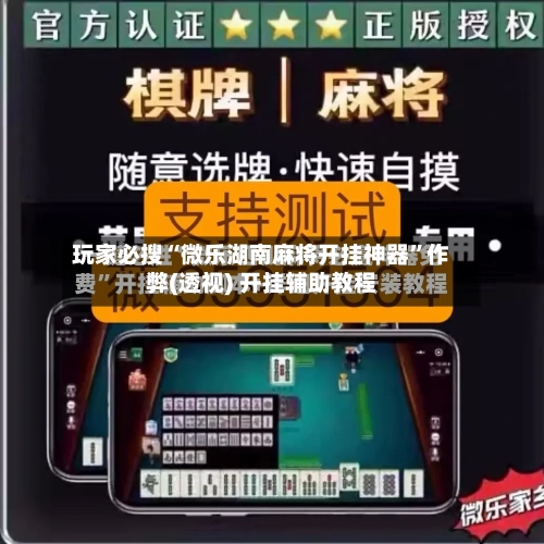 玩家必搜“微乐湖南麻将开挂神器”作弊(透视) 开挂辅助教程-第2张图片