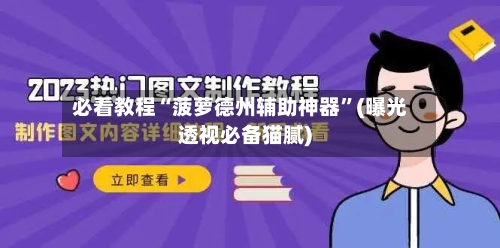 必看教程“菠萝德州辅助神器	”(曝光透视必备猫腻)-第3张图片