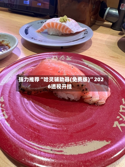 强力推荐“哈灵辅助器(免费版)	”2026透视开挂-第2张图片