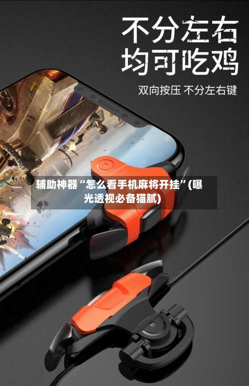 辅助神器“怎么看手机麻将开挂”(曝光透视必备猫腻)