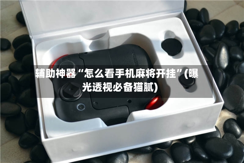 辅助神器“怎么看手机麻将开挂”(曝光透视必备猫腻)-第3张图片