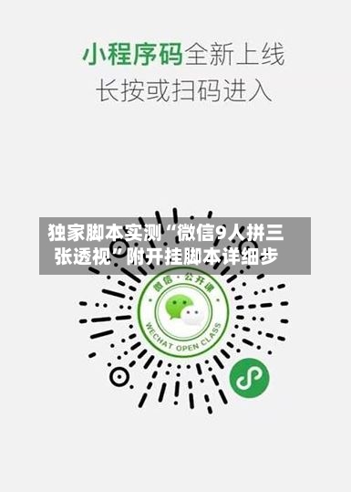 独家脚本实测“微信9人拼三张透视”附开挂脚本详细步