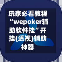 玩家必看教程“wepoker辅助软件挂”开挂(透视)辅助神器