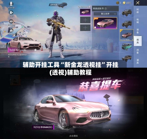 辅助开挂工具“新金龙透视挂”开挂(透视)辅助教程-第3张图片