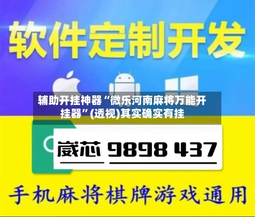 辅助开挂神器“微乐河南麻将万能开挂器	”(透视)其实确实有挂-第2张图片