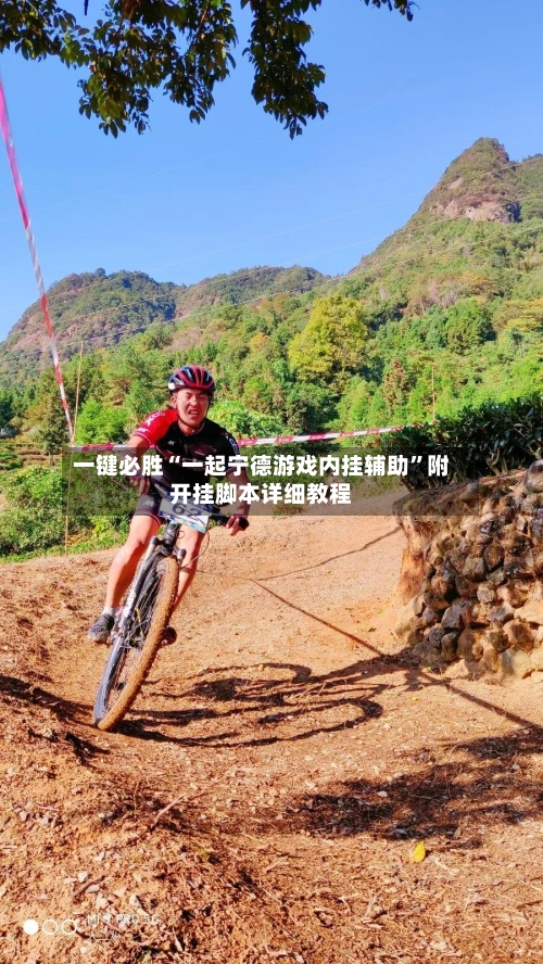 一键必胜“一起宁德游戏内挂辅助	”附开挂脚本详细教程-第2张图片
