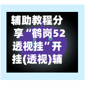 辅助教程分享“鹤岗52透视挂”开挂(透视)辅助神器-第2张图片