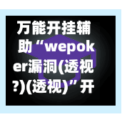 万能开挂辅助“wepoker漏洞(透视?)(透视)”开挂辅助详细步骤-第3张图片