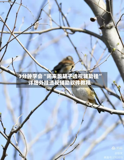 3分钟学会“闲来跑胡子透视辅助挂”详细外挂透视辅助软件教程