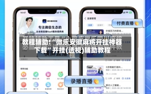 教程辅助!“微乐安徽麻将开挂神器下载	”开挂(透视)辅助教程-第2张图片