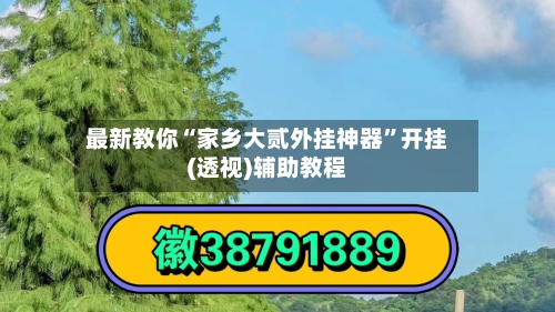 最新教你“家乡大贰外挂神器”开挂(透视)辅助教程