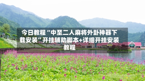 今日教程“中至二人麻将外卦神器下载安装”开挂辅助脚本+详细开挂安装教程-第3张图片
