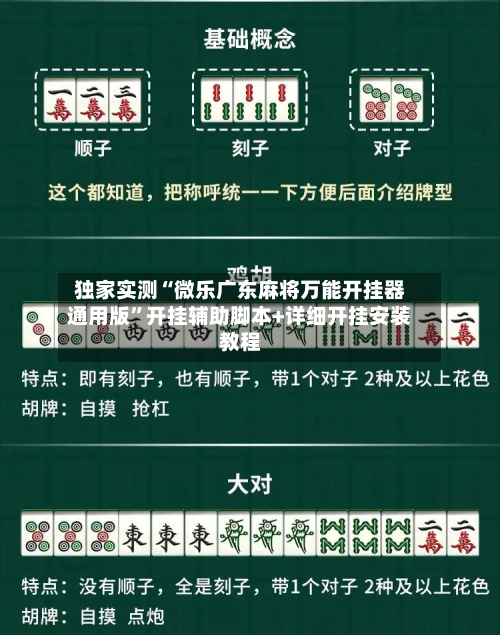 独家实测“微乐广东麻将万能开挂器通用版”开挂辅助脚本+详细开挂安装教程-第3张图片