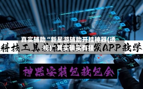 真实辅助“新星游辅助开挂神器(透视)”其实确实有挂-第2张图片