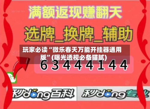 玩家必读“微乐春天万能开挂器通用版	”(曝光透视必备猫腻)-第2张图片