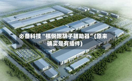 必备科技“棋悦跑胡子辅助器”(原来确实是有插件)
