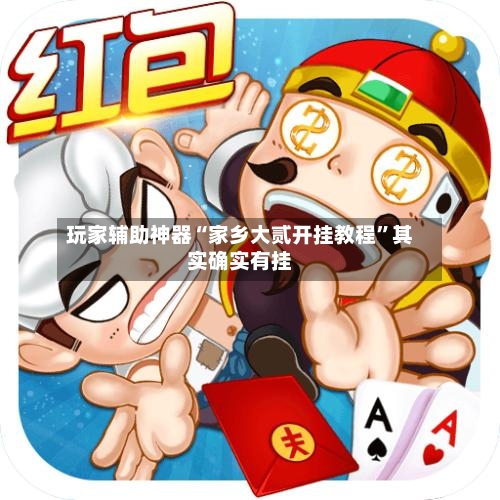 玩家辅助神器“家乡大贰开挂教程”其实确实有挂-第3张图片