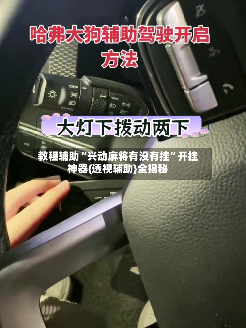 教程辅助“兴动麻将有没有挂”开挂神器{透视辅助}全揭秘