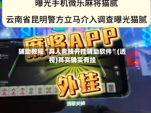 辅助教程“真人竞技开挂辅助软件”(透视)其实确实有挂-第2张图片