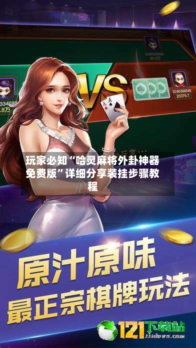 玩家必知“哈灵麻将外卦神器免费版”详细分享装挂步骤教程-第2张图片