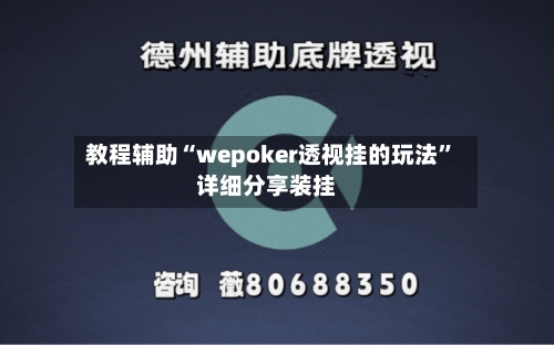 教程辅助“wepoker透视挂的玩法”详细分享装挂-第2张图片
