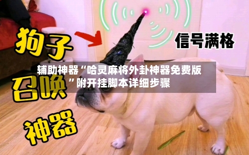 辅助神器“哈灵麻将外卦神器免费版”附开挂脚本详细步骤-第2张图片