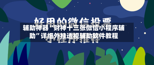辅助神器“财神十三张微信小程序辅助”详细外挂透视辅助软件教程-第2张图片
