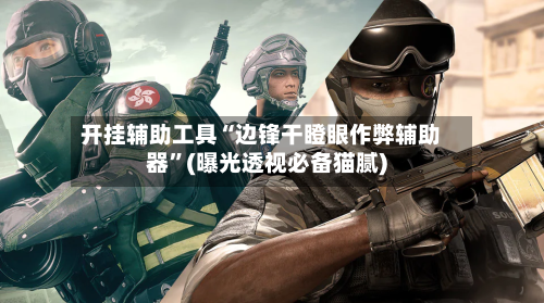 开挂辅助工具“边锋干瞪眼作弊辅助器”(曝光透视必备猫腻)