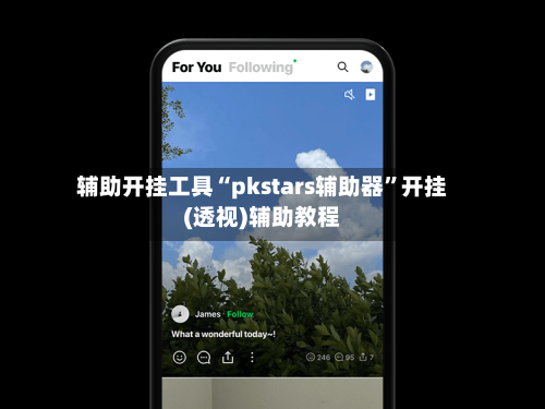 辅助开挂工具“pkstars辅助器	”开挂(透视)辅助教程-第3张图片